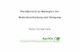 Praxisbericht zu Strategien der Bodenbearbeitung und … · und Mäuse Wie lassen sich die Probleme lösen? a) ... Somit ist eine universelle und starre Strategie in der Bodenbe-arbeitung