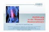 Einführung in die Thematik Rückenschmerz - … · Einführung in die Thematik Rückenschmerz Univ.-Prof. Dr. Rudolf Likar, MSc Vorstand der Abteilung für Anästhesie und allgemeine