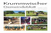 Krummwischer - Gemeinde Krummwisch: Krummwisch · tag die Löschwasserstrecke in weniger als einer Minute ... dass gegen die ordnungsgemäße Ladung Einwendungen nicht erhoben wurden.