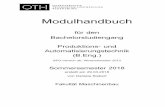 Modulhandbuch - oth-regensburg.de · Modulhandbuch für den Bachelorstudiengang Produktions- und Automatisierungstechnik (B.Eng.) SPO-Version ab: Wintersemester 2013 Sommersemester