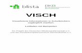 VISCH - blista | Willkommen bei der blista. · 2017-09-12 · Download von der homepage: ... 9 Mathematik ... übernehmen oder durch enthaltene Impulse zu eigenen Lösungen finden