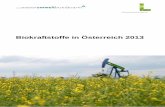 Biokraftstoffe in Österreich 2013 - bmnt.gv.at02391409-1cc0-4507-b8b4... · Biokraftstoffe im Verkehrssektor 2013 3 Daten zu Biokraftstoffen in Österreich für das Berichtsjahr