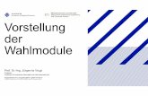 Vorstellung der Wahlmodule - FH Münster · - die Kenntnis von Methoden zur Optimierung von ... z.T. in den Laboren der TU Dortmund – Teilnehmer ... (2 Std) mit anschließender
