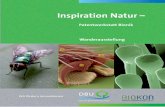 Inspiration Natur – - DBU - Deutsche Bundesstiftung ...€¦ · Meike Wunderlich, ZUK Redaktion ... Dr. Markus Große Ophoff, ZUK Druck ... Umweltschutz und Nachhaltigkeit in die