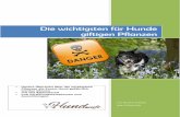 Die wichtigsten für Hunde giftigen Pflanzen - hund.info · Die wichtigsten für Hunde giftigen Pflanzen verfasst von 1 | S e i t e Inhalt Einleitung.....6