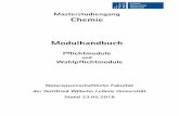 Masterstudiengang Chemie Modulhandbuch · besondere Bindungsverhältnisse in anorganischen Molekülverbindungen zu verstehen. 5. fortgeschrittene Aspekte der Chemie von Hauptgruppenelementen