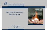 Hauptseminarvortrag: Methanhydrathomepages.uni-paderborn.de/wgs/Dlehre/Methanhydrat.pdf · E. Suess und G. Bohrmann, „Brennendes Eis - Vorkommen, Dynamik und Umwelteinflüsse von