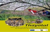 Natur, Spiel und Spaß im Nationalpark Thayatal Ein ... · Ein Programm für Kinder und ... nur ein 100 m breites Felsband trennt die beiden Fluss Schleifen. … einfach grenzenlos!