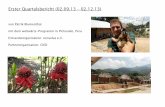 Erster Quartalsbericht (02.09.13 – 02.12.13) · mit dem weltwärts-Programm in Pichanaki, Peru Entsendeorganisation: ecoselva e.V. Partnerorganisation: CIED . Liebe Familie, Freunde,