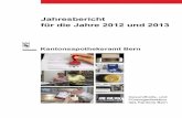 Kantonsapothekeramt Bern – Jahresbericht 2012-2013 · - „Aponauten“ / Inspektion Zytostatika ... In den Berichtsjahren wurden die Grundlagen für ... d.h. ApothekerInnen für