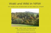 Wald und Wild in NRW · deren Entwicklung z.B. in Nordrhein-Westfalen zu ... Jagdpachtpreise senken! Schalenwildbestände an Wälder anpassen . Wald und Wild in NRW – Lösungsansatz