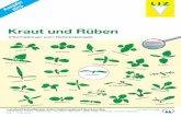 Kraut und Rüben - LIZ-Online · Kraut und Rüben Informationen zum Herbizideinsatz Ausgabe 2014 2018 Landwirtschaftlicher Informationsdienst Zuckerrübe von Pfeifer & Langen Aachenerstr.