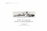 SOL Projekt MATURAARBEIT - gymo.ch · ortbestimmung statt. Der Arbeitsprozess wird wieder im Arbeitsjournal festgehalten und die Reflexion ... Das Thema soll zum Beispiel kunstge-