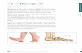 Fuß- und Sprunggelenk - ARCUS Kliniken Pforzheim - … · Wadenbeins, zum anderen aus dem Sprungbein (Talus) gebildet. ... Nachbehandlung • 4 Wochen in einer speziellen Gipsschiene