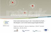 Internationalisierung in der Umweltwirtschaft Strategien ...nrw.enterprise-europe-germany.de/public/uploads/downloads/... · Indirekter Export sehr gering gering hoch Inland Direkter