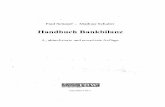 Handbuch Bankbilanz - Verbundzentrale des GBV · Angabe der Beträge, die im folgenden Jahr fällig werden 35 3.1.10. ... nach IDW RS HFA 22 269 4.4.10. Agio und Disagio bei erworbenen