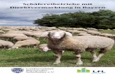 Schäfereibetriebe mit Direktvermarktung in Bayern · Produkte aus Bayerischen Schäfereien: regional, naturnah, gesund! Die Schafhaltung in Bayern trägt zum Erhalt der schönsten