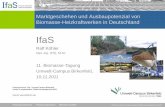 IfaS - stoffstrom.org · Internet: Entwicklung strategisches Entscheidungsmodell Markt- und Rohstoffsituation! Projektkooperation ... UBA, DLR-DFD (2009) Ergebnis der Input-Cluster