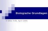 biologische grundlagen - informatik.hu-berlin.de · – nature, 1 seite ... org2: aua ucu ugg gac aag cug gcc org3: auc ucu ugg gau aag cuu gcg org4: auu agc ugg gac aaa cuc gca org5: