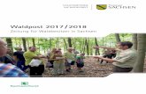 Waldpost 2017 / 2018 Forstjournal 3I10 Zeitung für ... · sachsenforst.de) oder Ihrer regionalen forst- ... Fotos: S. Martens: Wie die Fichte Landschaft und Kultur prägt: Wie stark