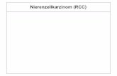Nierenzellkarzinom (RCC) - uk-essen.de · Merkmale des RCC ! Das RCC ist eine Krebserkrankung, die im Drüsenepithel der Niere entsteht (d. h. ein Adenokarzinom), meist in der Nierenrinde