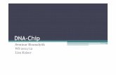DNA-Chip - lebensmittelchemie.nat.uni-erlangen.de · 1. Einführung Warum DNA-Chip ?-Enormer Anstieg der Datenmenge Notwendigkeit eines Hochdurchsatz-Systems-Microarrays sollen schnelle