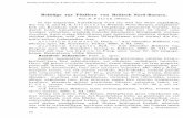 Beiträge zur Pilzflora von Britisch Nord-Borneo. · margine inciso, vix vel parum revoluto, flavo-albido; cellulis peridii arte conjunctis, 18—27^ 12—16 ^, pariete ca; 2—3
