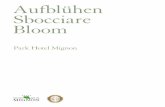 Aufblühen Sbocciare Bloom - hotelmignon.com · simboli delle regioni meridionali ed esotiche si sposano con robusti esemplari più nordici. Su questo ettaro di terra, favorito dalle