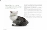 Halsbänder, Katzen lieben es, die Welt für sich zu ... · con chiusura di sicurezza | LED-lysslange af blød silikone, synlig op til 500 m, til halsomfang fra 18-34 cm, kan kortes