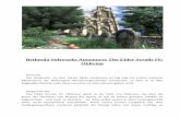 Bethesda Softworks Announces The Elder Scrolls IV: Oblivionmegaimmi.whurst.net/ihensler/gametests/oblivion/gametest_oblivion.pdf · Wächtern, die den Weg durch eine Geheimtür in