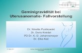 Geminigravidität bei Uterusanomalie- Fallvorstellung · 16. März 2011 Berliner Gesellschaft für Gynäkologie und Geburtshilfe • 32 Jahre III. Gravida I. Para bei 8+0 SSW mit