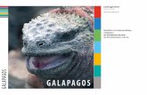 os G Gal a pa G os - Zoologisches Museum der Universität ... · Gal a pa G os Gal a pa G os Reiseführer zur sonderausstellung «Galápagos» des Zoologischen Museums der Universität