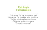 Fallbeispiele Zytologie 2014 - zooklinik.uzh.chffffffff-cae8-cd63-ffff-ffffd0b8fa40/... · Besitzer hat im Kot kleine (ca. 1 cm) feine Würmchen entdeckt. Die Schildkröte ist klinisch