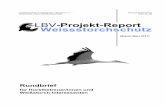 Rundbrief - .Projektreport Weistorchschutz (M¤rz 2017) LBV - Artenhilfsprogramm Weistorch 5