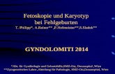 Fetoskopie und Karyotyp bei Fehlgeburten - gyndolomiti.com · • Lebendgeburten in der Anamnese ... associated with habitual abortion in 197 couples ... of hysteroembryoscopic biopsies