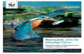 Riverwatch: aktiv für lebendige Flüsse - Fiber: Aktuelles · • Abgeschlossene Berufslehre oder Matur. Programm ... unter oder per Post an Bildungszentrum WWF, Bollwerk 35, 3011