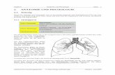 2. ANATOMIE UND PHYSIOLOGIE - Institut für … 2 Anatomie und Physiologie Kapitel 2 Die Lungenflügel liegen im Brustkorb (Thorax), der von den Rippen und dem Zwerchfell begrenzt