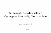 Terpenoide Pseudoalkaloide Cyanogene Glykoside, Glucosinolatesemmelweis.hu/farmakognozia/files/2016/11/Terpenoide-Pseudo... · z.B. Piper methysticum (Piperaceae) = Kava-Kava, Rauschpfeffer
