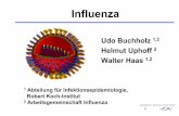 Vortrag zu Influenza Saison 2003/2004 - Herzlich Willkommendr-musselmann.de/files/INFLUENZA.pdf · • Über 60-Jährige haben das höchste Risiko, an Influenza (+ Komplikationen)