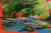 Matteo Paolantonio - Nidau Gallery · ich denke, dass ich in den gewagten prospektischen Schnitten und in den transgres-siven Farben, die eher durch vermittelnde Töne als durch ruhende
