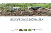 Merang REDD Pilot Project (MRPP) Persemaian dan ...forclime.org/merang/Rehabilitation.pdf · Persemaian dan Rehabilitasi Hutan ... kandungan karbon bawah tanah lahan rawa gambutnya.