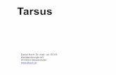 Tarsus · 2018-03-08 · Achillessehnenriss/Fraktur Calcaneus . Verletzungen Luxation Fersenkappe . Verletzungen Luxation Fersenkappe . Verletzungen Seitenbandrisse . Verletzungen