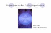 Depressionen bei Epilepsiepatienten2 - uniklinik-freiburg.de · Bereits vor Erstmanifestation einer Epilepsie sind Depressionen 3,7x häufiger als bei gesunden Kontrollen (Hesdorffer