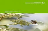 MODULHANDBUCH Gartenbau - modul.online.hswt.demodul.online.hswt.de/modulhandbuch/Module-GB_20152.pdf · - Fähigkeit zur sicheren Bedienung einiger Computerprogramme (z.B. Excel,