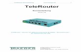 TeleRouter - traeger.de · Interface wird quasi über einer Leitung (virtuelle Leitung) mit dem OpenVPN-Interface des Partnergerätes verbunden. Die Leitung wird mit Software realisiert.