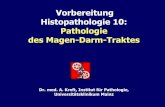 Vorbereitung Histopathologie 10: Pathologie des Magen-Darm ... · Pathologie des Magen-Darm-Traktes • Pankreaskarzinom • Hepatitis • Leberzirrhose • Gastritis • Magenkarzinom