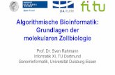 Algorithmische Bioinformatik: Grundlagen der molekularen ...genomeinformatics.uni-due.de/.../2016/04/Grundlagen-Biologie.pdf · Algorithmische Bioinformatik: Grundlagen der molekularen
