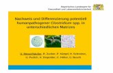 messelhaeusser Nachweis Clostridium spp. Garmisch · Bayerisches Landesamt für Gesundheit und Lebensmittelsicherheit 2 Humanpathogene Clostridium spp. Lebensmittel ÎC. perfringens