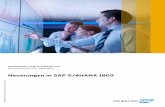 Neuerungen in SAP S/4HANA 1809 · Auflösung von Rechnungszahlsperren vorschlagen.....242 SAP Fieldglass – Rechnungsintegration in Finance.....243