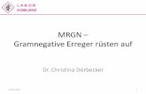 MRGN Gramnegative Erreger rüsten auf - labor-koblenz.delabor-koblenz.de/wp-content/uploads/2015/02/MRGN.pdf · 10.02.2015 4 L A B O R KOBLENZ • Infektionsschutz • Infektions-